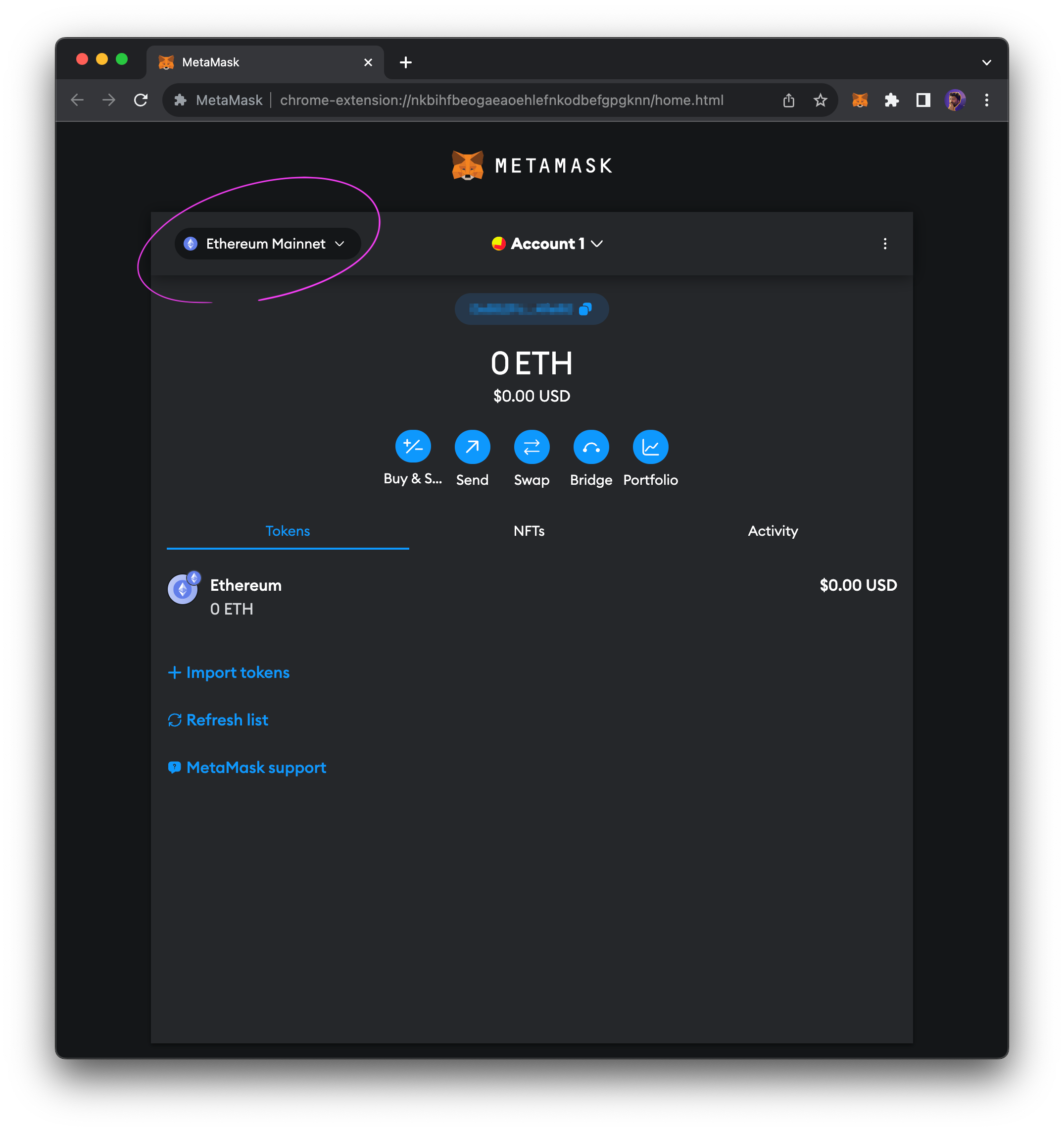 Metamask Add Network Step 1